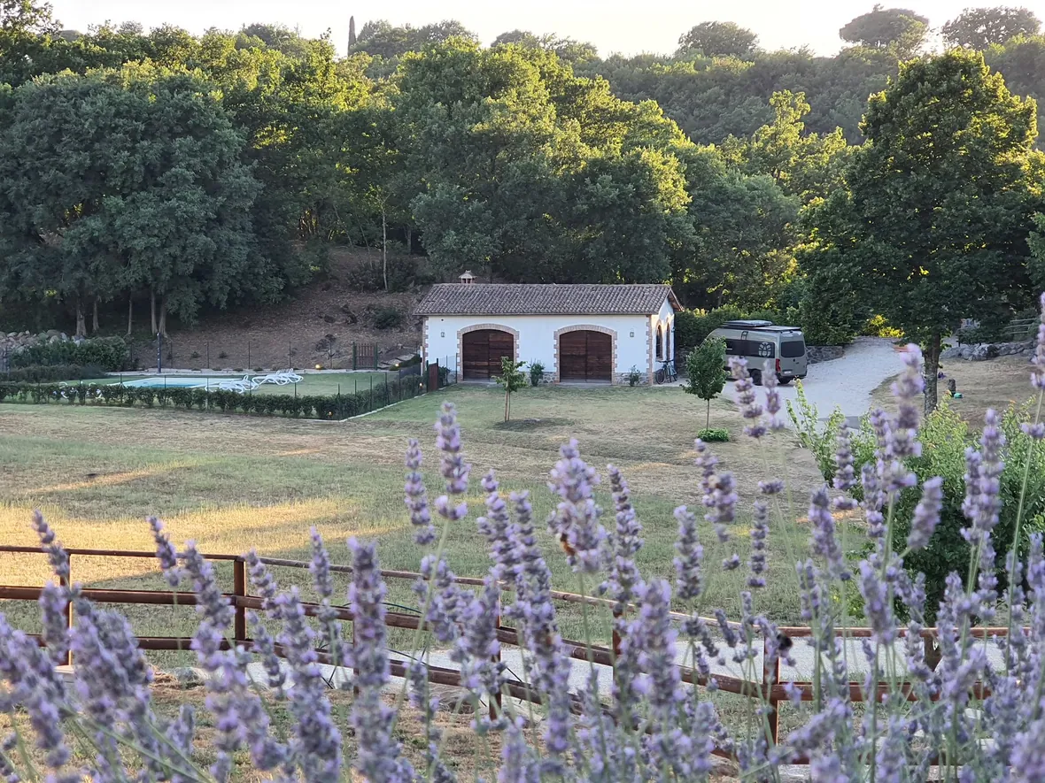 Il campo di lavanda davanti alla casa